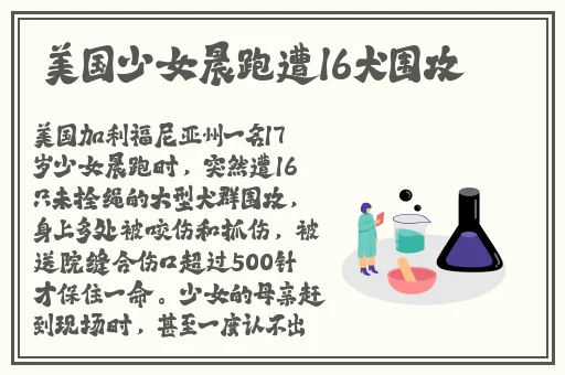 91国精产品灬源码1688钻石